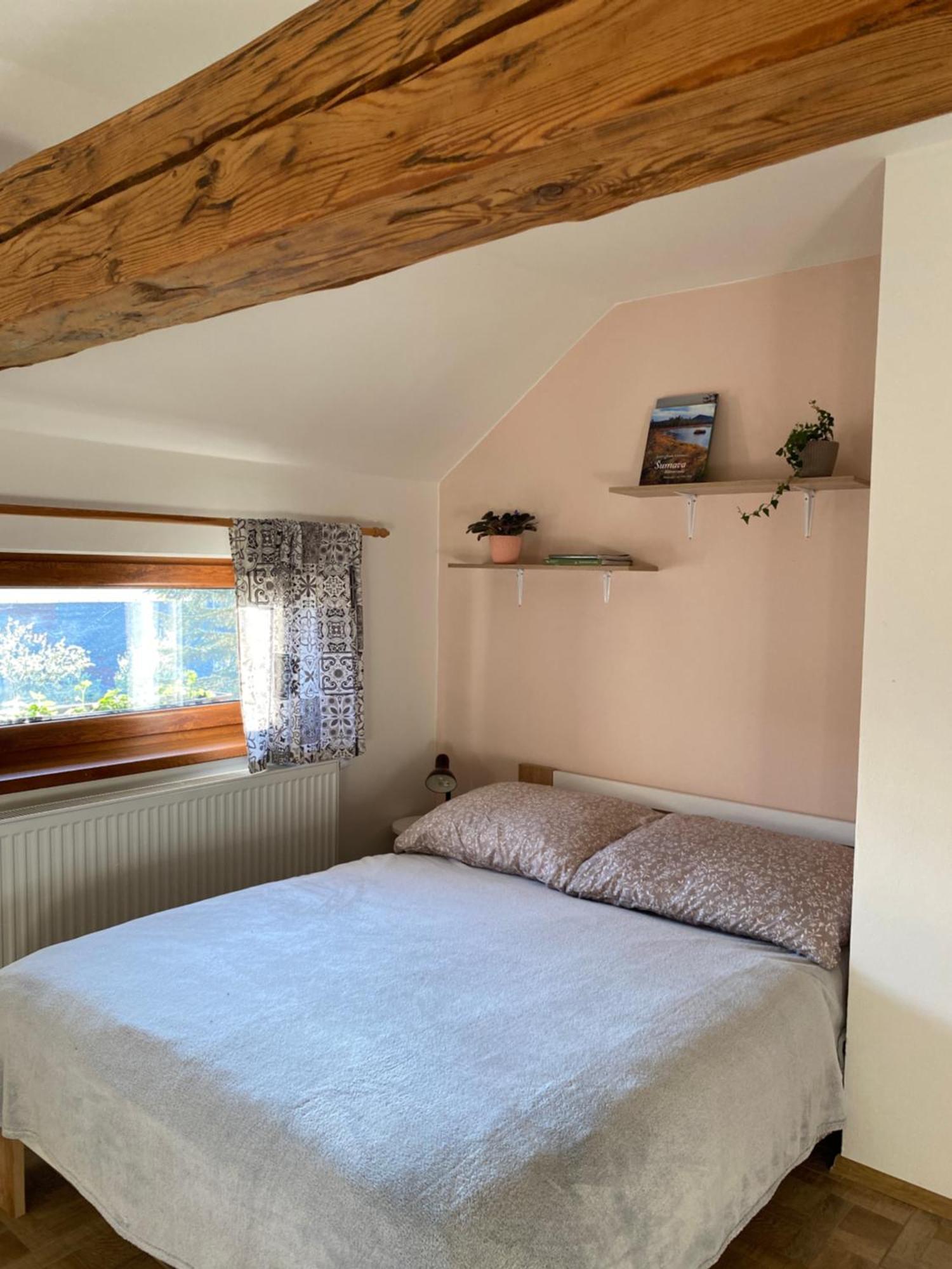 Apartman Na Vrsku Klenovice  Kültér fotó