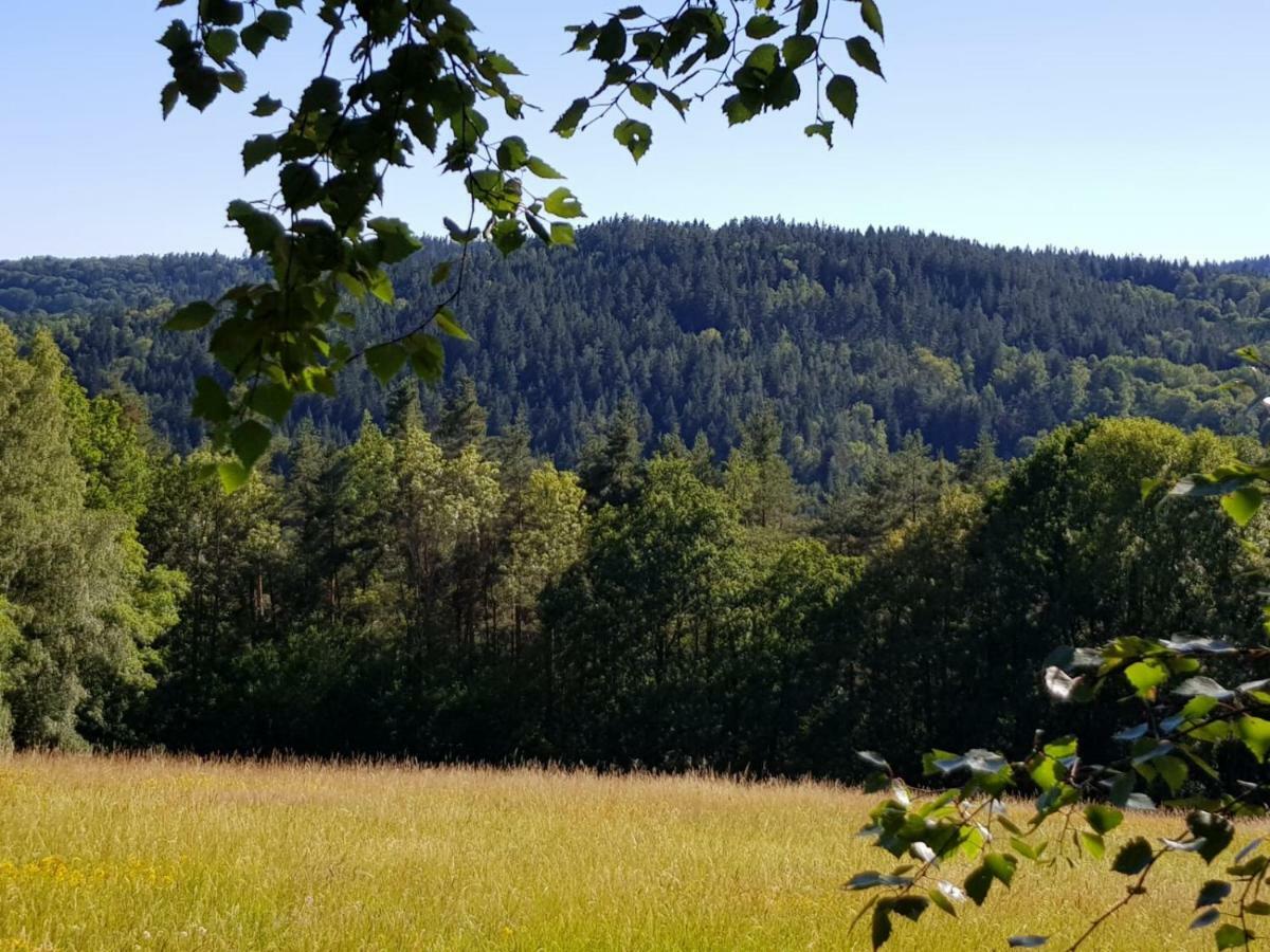 Apartman Na Vrsku Klenovice  Kültér fotó